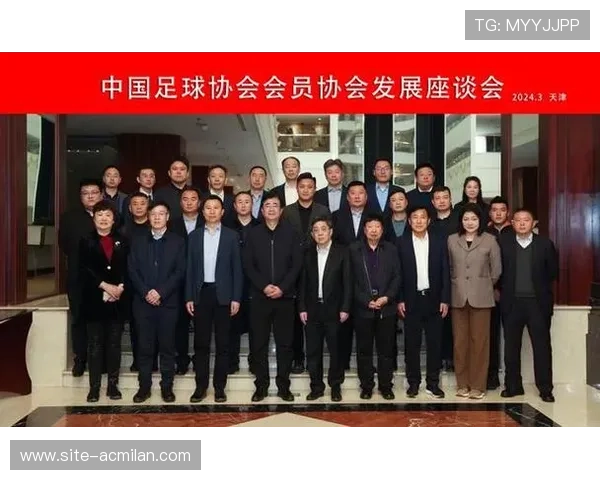 中国足球协会成立职业教练委员会，中国足球协会成立职业教练委员会的意义