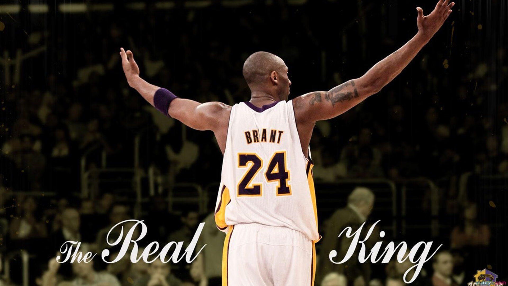 “体育场馆共享运营试点赛” 多机构共同运营同一场地